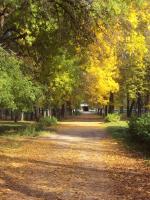 золотая осень в парке