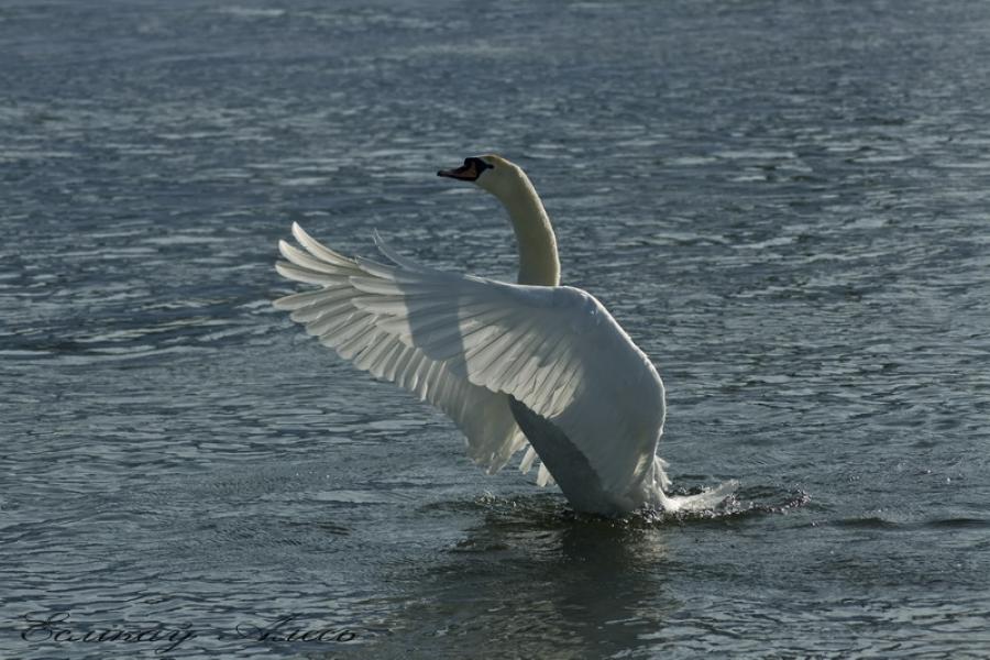 ���� ������ �� ������!!!