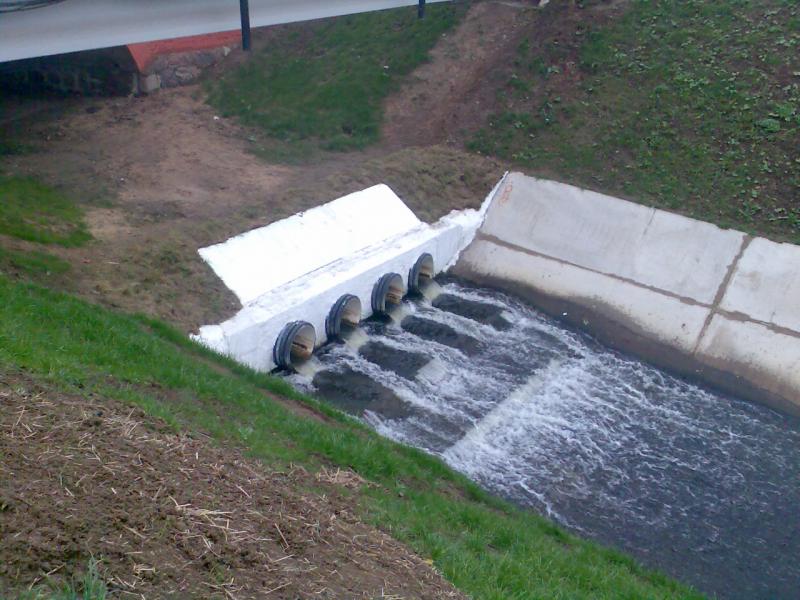 ������ ����� ����