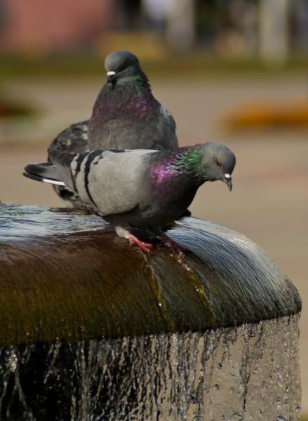 � ��� ��� ?