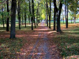 Осенняя дорожка в парке(льнокамбинат)