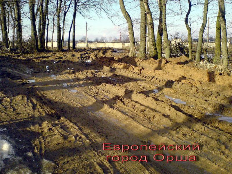 � ��� ����, 1 ������������ ���.